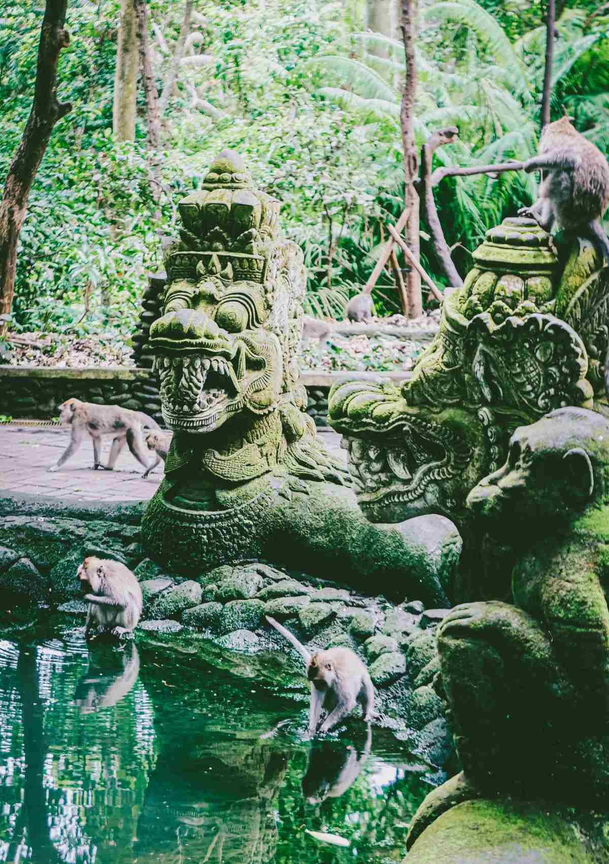 Bali — photo 1