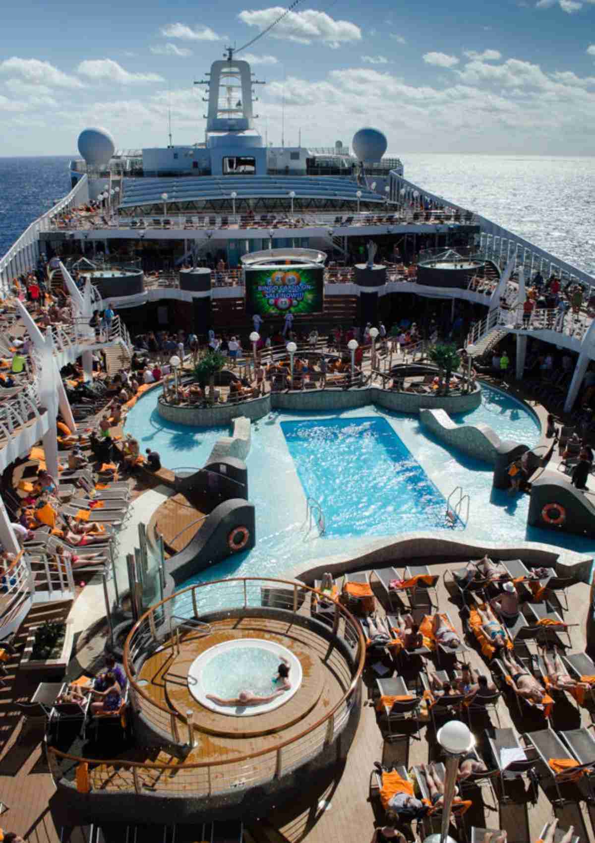 MSC Divina — photo 1