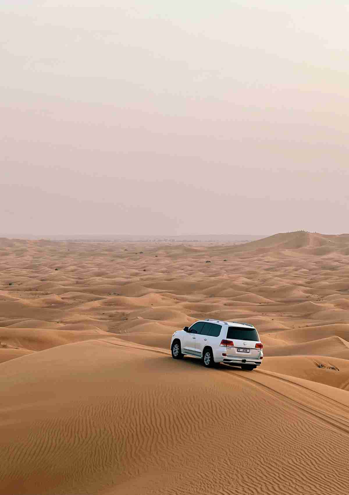 Dubai — photo 3